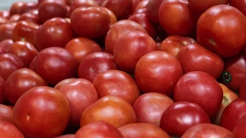 Fresh Red Tomatoes Piled Together on Supermarket Shelf 動画素材 339085585