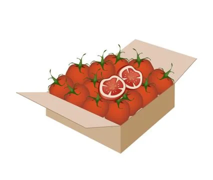 Fresh Red Tomatoes in A Shipping Box Stock Illustration