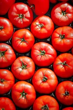 Fresh, red tomatoes side by side, full frame Stock Photos