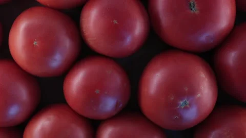 Fresh Red Tomatoes Spread Out, Top View. Slider Shot. Stock Footage 286980858