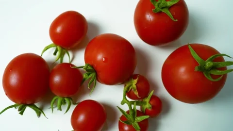 Fresh Red Tomatoes on White Background, A collection of fresh red tomatoes .. Video stock 304978960