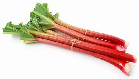 Fresh rhubarb Stock Photos