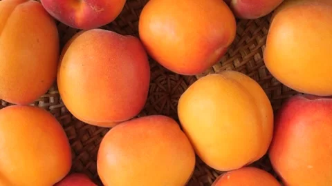 Fresh ripe apricots fruits background rotating Stock Footage 335836498
