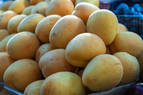 Fresh ripe apricots pattern close up, sweet organic summer fruits heap at l.. Stock Photos