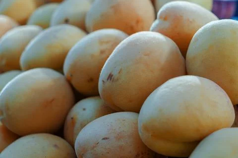Fresh ripe apricots pattern close up, sweet organic summer fruits heap at l.. Stock Photos