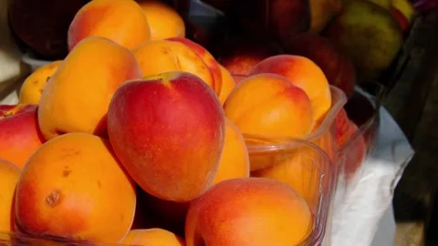 Fresh ripe apricots in plastic containers at local farmers market on sunny Stock Footage 346634589