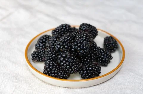 Fresh ripe black bramble blackberries new harvest Stock Photos