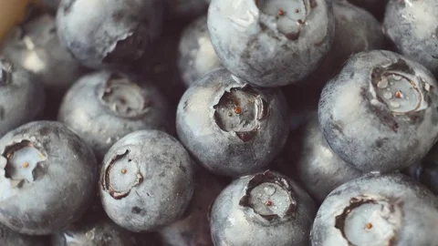 Fresh, ripe blue berries rotate, wild berry. Close up Stock Footage