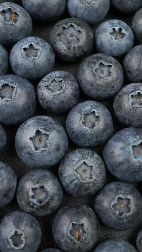 Fresh Ripe Blueberries Close Up Macro Background in Vertical 4K Stock Footage 340550625