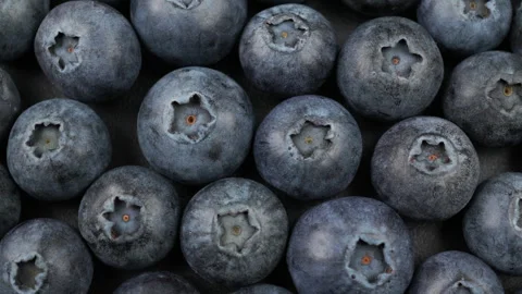 Fresh Ripe Blueberries Close Up Macro Background in Vertical 4K Stock Footage 341059514