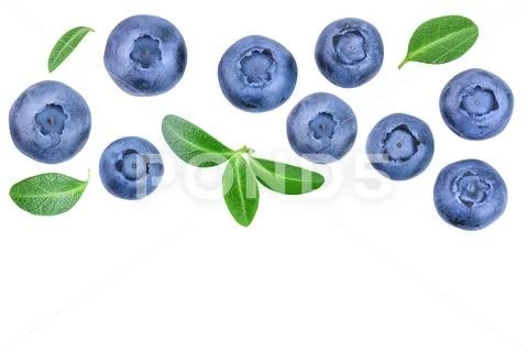Fresh ripe blueberry with leaf isolated on white background with copy space for Stock Photos