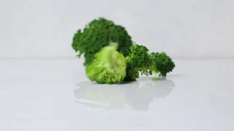 Fresh ripe broccoli fall with splashes of water in slow motion Stock Footage 147673617