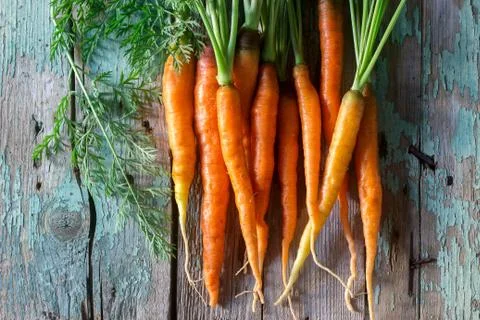 Fresh ripe carrots with tops on a wooden table. Stock Photos