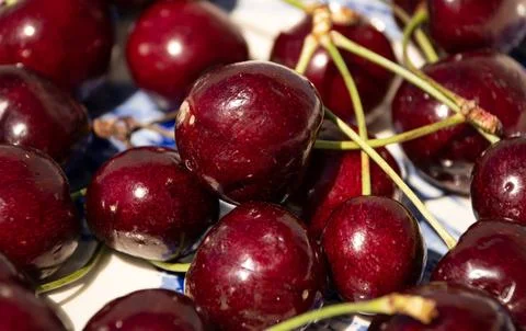 Fresh Ripe Cherries in Sunlight on a Rustic Cottage Garden Table Foto stock