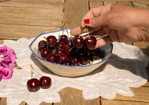 Fresh Ripe Cherries in Sunlight on a Rustic Cottage Garden Table Stock Photos