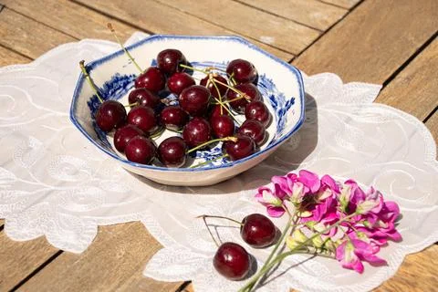 Fresh Ripe Cherries in Sunlight on a Rustic Cottage Garden Table 스톡 사진