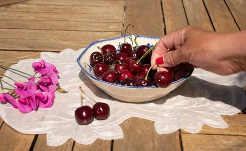 Fresh Ripe Cherries in Sunlight on a Rustic Cottage Garden Table Stock Photos
