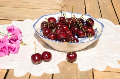 Fresh Ripe Cherries in Sunlight on a Rustic Cottage Garden Table Stock Photos