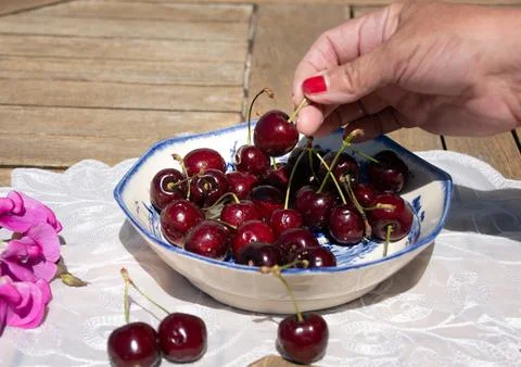 Fresh Ripe Cherries in Sunlight on a Rustic Cottage Garden Table 스톡 사진