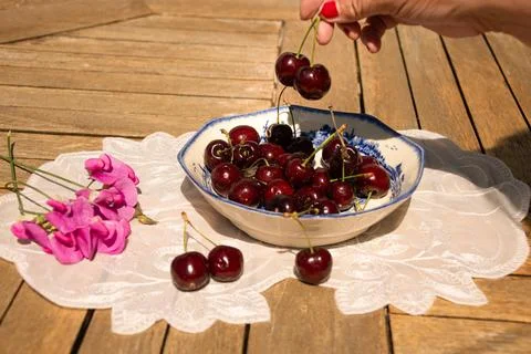 Fresh Ripe Cherries in Sunlight on a Rustic Cottage Garden Table Foto stock