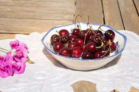 Fresh Ripe Cherries in Sunlight on a Rustic Cottage Garden Table 스톡 사진