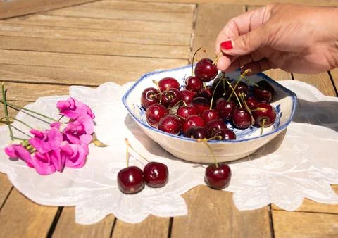 Fresh Ripe Cherries in Sunlight on a Rustic Cottage Garden Table 스톡 사진