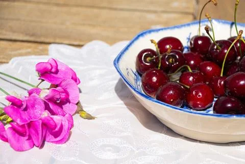 Fresh Ripe Cherries in Sunlight on a Rustic Cottage Garden Table Foto stock