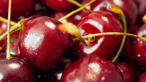 Fresh ripe Cherry close-up Stock Footage 91614744