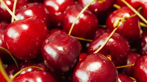 Fresh ripe Cherry close-up Stockbeeldmateriaal 91622295