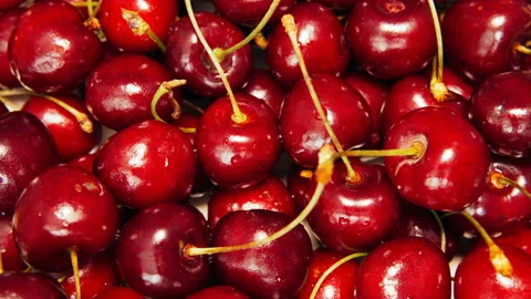 Fresh ripe Cherry close-up Stock Footage 91622613