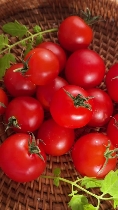 Fresh ripe cherry tomatoes rotating in a wicker basket 스톡 동영상 339925381