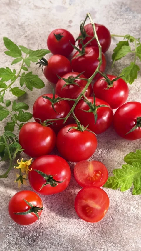 Fresh ripe cherry tomatoes on the vine Stock Footage 340562747