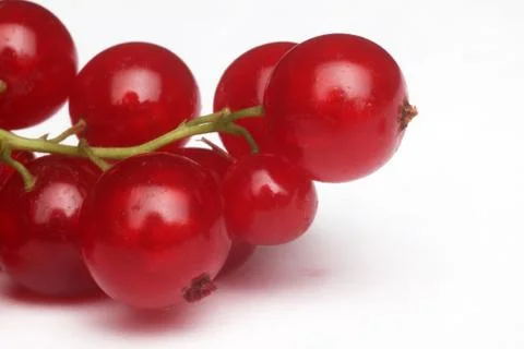 Fresh ripe currant Stock Photos