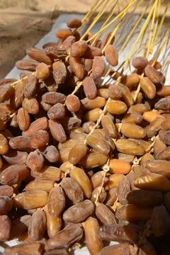 Fresh Ripe Dates Close Up Foto stock