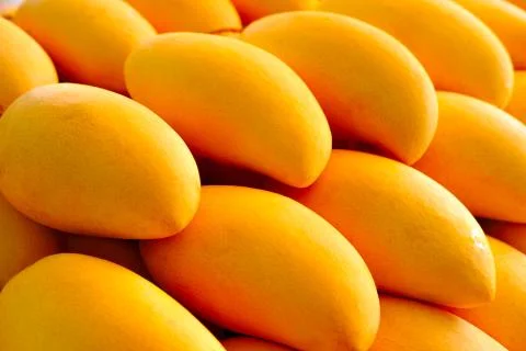 Fresh ripe exotic mango stack. Foto stock