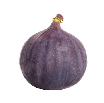 Fresh ripe fig Stock Photos