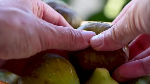 Fresh, ripe figs Stock Footage 322031831