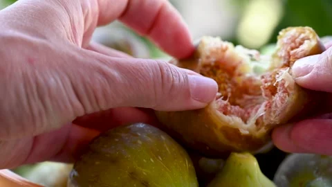 Fresh, ripe figs Stock Footage 322031835