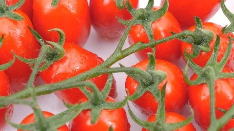 Fresh ripe Grape Tomatoes rotating (loopable) on white background. Stock Footage 113643409