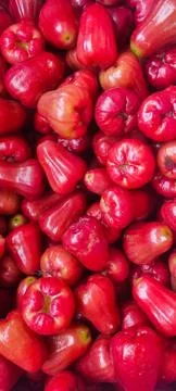 Fresh ripe Java apple Stock-Fotos