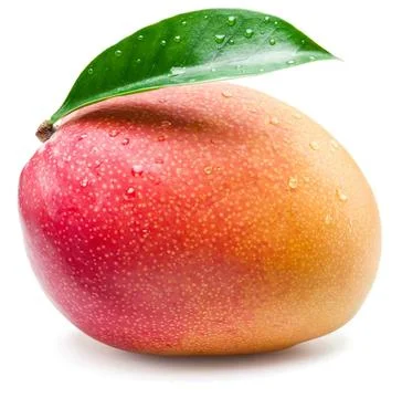 Fresh ripe mango with green leaf on white background Stock Photos