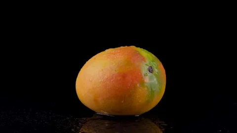 Fresh ripe mango isolated on black background with water drops Stock Footage 268728377