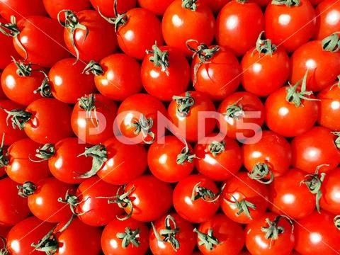 Fresh ripe medium-sized tomatoes lined in a row Stock Photos