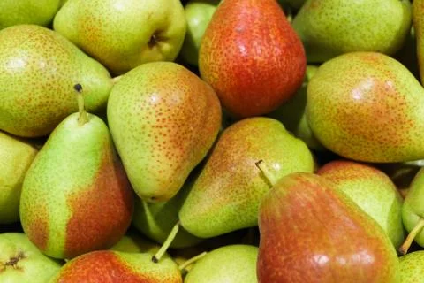 Fresh ripe multi-colored pears in a box. Stock Photos