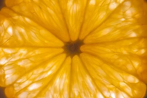 Fresh ripe orange segment symbolizing immunity boost and vitamin power, stu.. Foto stock