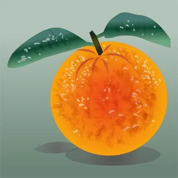 Fresh Ripe Oranges Vector Illustration Stock Illustration