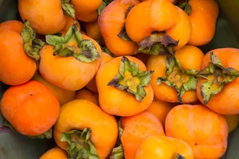 Fresh ripe persimmon Stock Photos