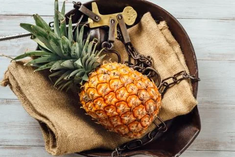 Fresh ripe pineapple Stock Photos