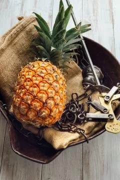 Fresh ripe pineapple Stock Photos