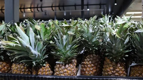 Fresh ripe pineapples displayed in the produce section of a supermarket 動画素材 346165995